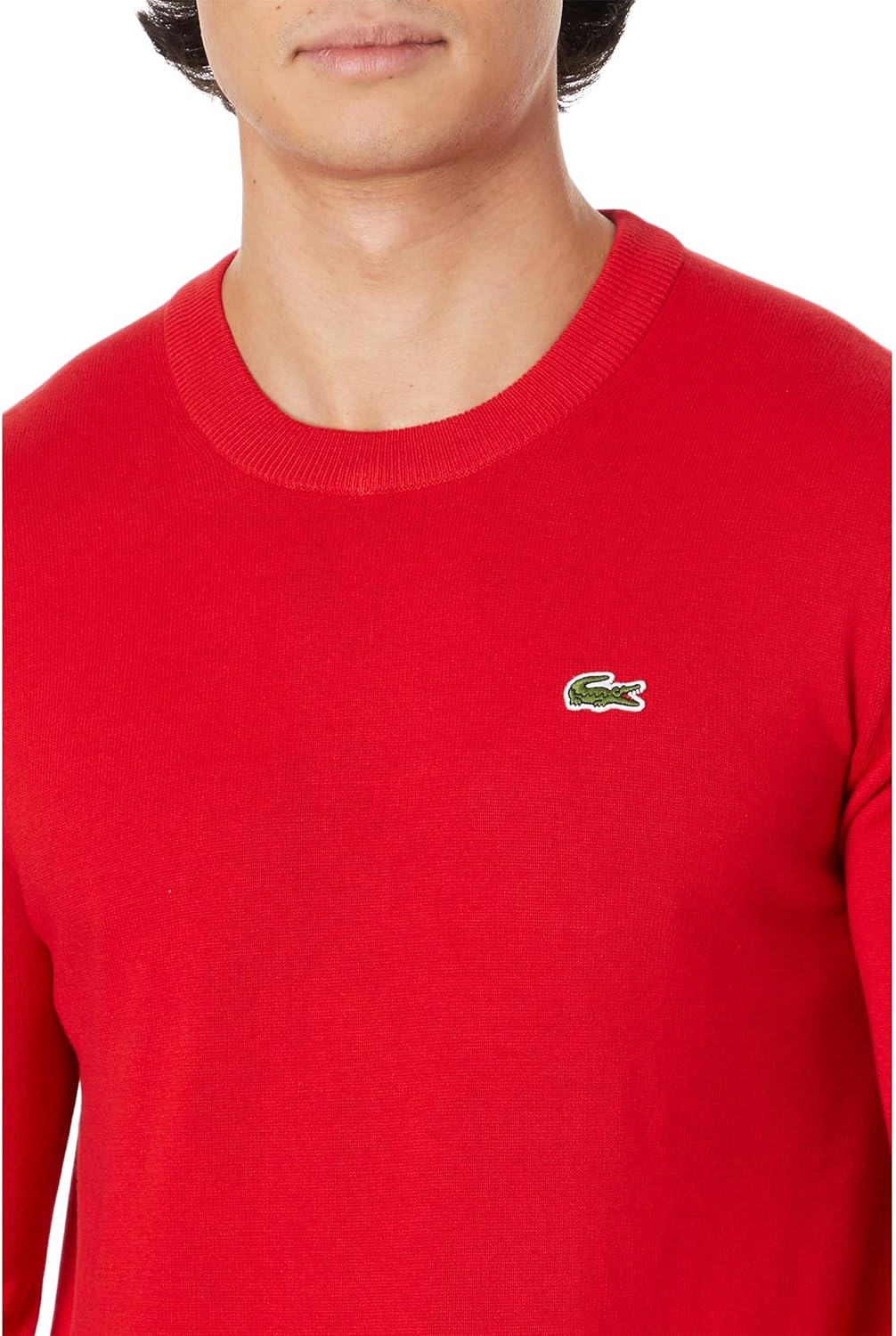 Lacoste Men's Long Sleeve Crew Neck Regular Fit Sweater